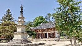 전북 남원 실상사 - 엽기사진실 - 이종격투기 전북 남원 
