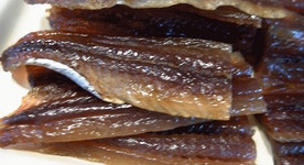 포항 과메기 - 엽기사진실 - 이종격투기 포항 