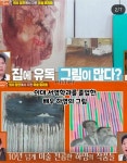 같은 이대 서양화과 출신 하영과 노윤서 - 엽기사진실 - 이종격투기 같은 이대 서양화과 출신 하영과 노윤서