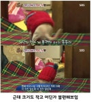 할머니의 강아지는 3년째 자라지 않았지만.jpg - 엽기사진실 - 이종격투기 할머니의 강아지는 3년째 자라지 않았지만.jpg