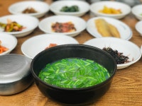 하동 제첩국 - 엽기사진실 - 이종격투기 하동 