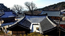 경북 구미 도리사 - 엽기사진실 - 이종격투기 경북 구미 