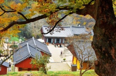 더쿠 - [불교 사찰] 충남 청양 장곡사.jpg