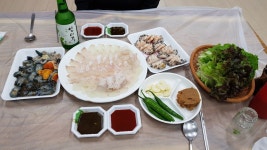 전남 완도 완도수산시장 - 엽기사진실 - 이종격투기 전남 완도 