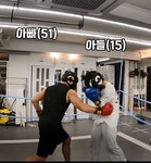 스파링하는 아빠와 아들 - 엽기사진실 - 이종격투기 스파링하는 아빠와 아들