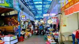 광주 동구 남광주시장 - 엽기사진실 - 이종격투기 광주 동구 