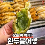 광주에 등장한 새로운 붕어빵 - 엽기사진실 - 이종격투기 광주에 등장한 새로운 붕어빵