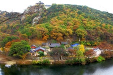더쿠 - [불교 사찰] 경북 포항 오어사.jpg