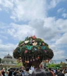 오늘자 에버랜드 - 엽기사진실 - 이종격투기 오늘자 에버랜드