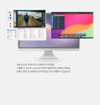 리룩스 기반 국산 무료 OS - 하모니카 - 엽기사진실 - 이종격투기 리룩스 기반 국산 무료 OS - 하모니카