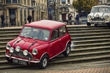 로버 미니 - 엽기사진실 - 이종격투기 로버 미니