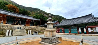 강원도 동해 삼화사 - 엽기사진실 - 이종격투기 강원도 동해 