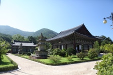 경북 청도 운문사 - 엽기사진실 - 이종격투기 경북 청도 