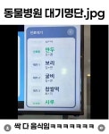 동물병원 대기 명단 - 엽기사진실 - 이종격투기 동물병원 대기 명단