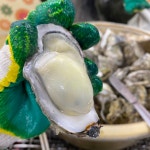 충남 보령 천북굴단지 - 엽기사진실 - 이종격투기 충남 보령 