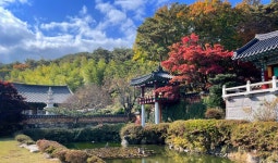 더쿠 - [불교 사찰] 경남 양산 통도사.jpg