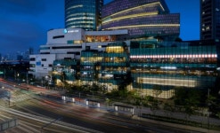 내년에 폐점할수도 있다는 서울 백화점 - 엽기사진실 - 이종격투기 내년에 폐점할수도 있다는 서울 백화점