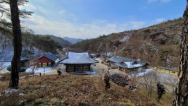 더쿠 - [불교 사찰] 전남 화순 운주사.jpg