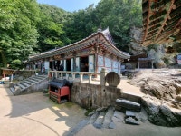 충남 부여 고란사 - 엽기사진실 - 이종격투기 충남 부여 