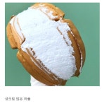 호불호 - 엽기사진실 - 이종격투기 호불호