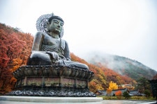 강원도 속초 신흥사 - 엽기사진실 - 이종격투기 강원도 속초 