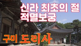 경북 구미 "도리사" - 엽기사진실 - 이종격투기 경북 구미 