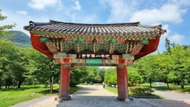 전북 고창 "선운사" - 엽기사진실 - 이종격투기 전북 고창