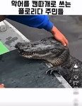 악어를 캔따개쯤으로 생각하는 플로리다 주민들 - 엽기사진실 - 이종격투기 악어를 캔따개쯤으로 생각하는 플로리다 주민들