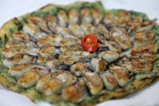 꼬소하이 굴전 - 엽기사진실 - 이종격투기 꼬소하이 굴전