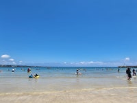 제주 표선면 표선해수욕장,해비치해변 - 엽기사진실 - 이종격투기 제주 표선면 