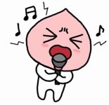 코인노래방 대참사 - 엽기사진실 - 이종격투기 코인노래방 대참사