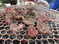 광양 불고기 - 엽기사진실 - 이종격투기 광양 