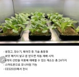 LG 전자 신제품 공개 - 엽기사진실 - 이종격투기 LG 전자 신제품 공개