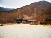 충북 영동 반야사 - 엽기사진실 - 이종격투기 충북 영동 