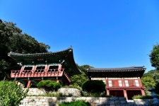 더쿠 - [불교 사찰] 충남 청양 장곡사.jpg