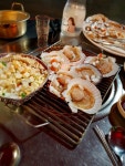 부산 청사포 조개구이 - 엽기사진실 - 이종격투기 부산 청사포 