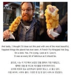 어느 홍모인이 발견한 세상에서 가장 아름답고 행복한 그것 - 엽기사진실 - 이종격투기 어느 홍모인이 발견한 세상에서 가장 아름답고 행복한 그것