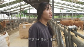 너무 잘 어울리고 너무 행복해 보이는 동갑내기 영농커플 - 엽기사진실 - 이종격투기 너무 잘 어울리고 너무 행복해 보이는 동갑내기 영농커플
