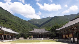 경남 밀양 표충사 - 엽기사진실 - 이종격투기 경남 밀양 