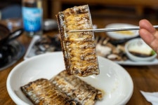 생선구이의 왕! - 엽기사진실 - 이종격투기 생선구이의 왕!