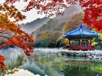 전북 정읍 내장산 내장사 - 엽기사진실 - 이종격투기 전북 정읍 내장산 