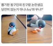 뽑기로 핑구 뽑았는데 뭐가 맞음? - 엽기사진실 - 이종격투기 뽑기로 핑구 뽑았는데 뭐가 맞음?