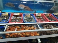 전남 완도 완도수산시장 - 엽기사진실 - 이종격투기 전남 완도 