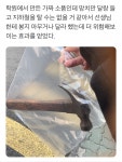 학원에서 만든 소품 - 엽기사진실 - 이종격투기 학원에서 만든 소품