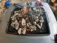 조개구이의 왕! - 엽기사진실 - 이종격투기 조개구이의 왕!