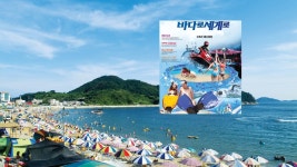 경상남도 거제 구조라해수욕장 - 엽기사진실 - 이종격투기 경상남도 거제 구조라해수욕장