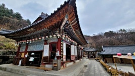 경기도 의왕 청계사 - 엽기사진실 - 이종격투기 경기도 의왕 