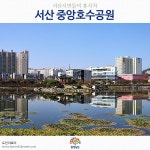 충남 서산 중앙호수공원 - 엽기사진실 - 이종격투기 충남 서산 