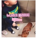 이모 이강아지 한번 만져봐도 돼요?.jpg - 악플달면 쩌리쩌려버려 - ＊여성시대＊ 차분한 20대들의 알흠다운 공간 이모 이강아지 한번... 