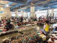 포항 죽도시장 - 엽기사진실 - 이종격투기 포항 죽도시장